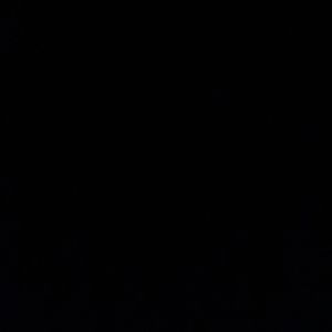 Meet your Posher, Sadie